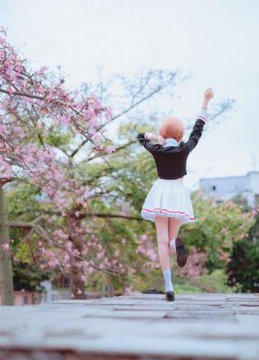 秋霞电视剧
